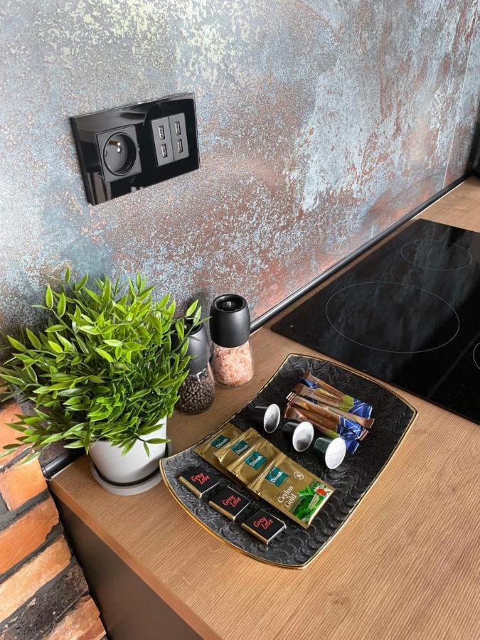 Apartament Grey Love W Czeladzi, Fv, 8Km Do Katowic Kültér fotó
